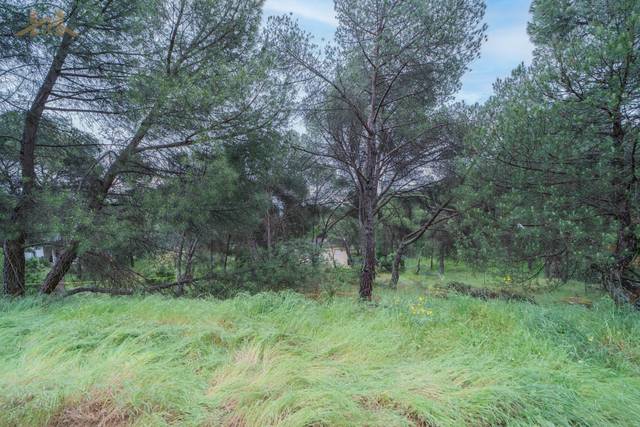 Terreno residencial en Venta en San Martín de Valdeiglesias