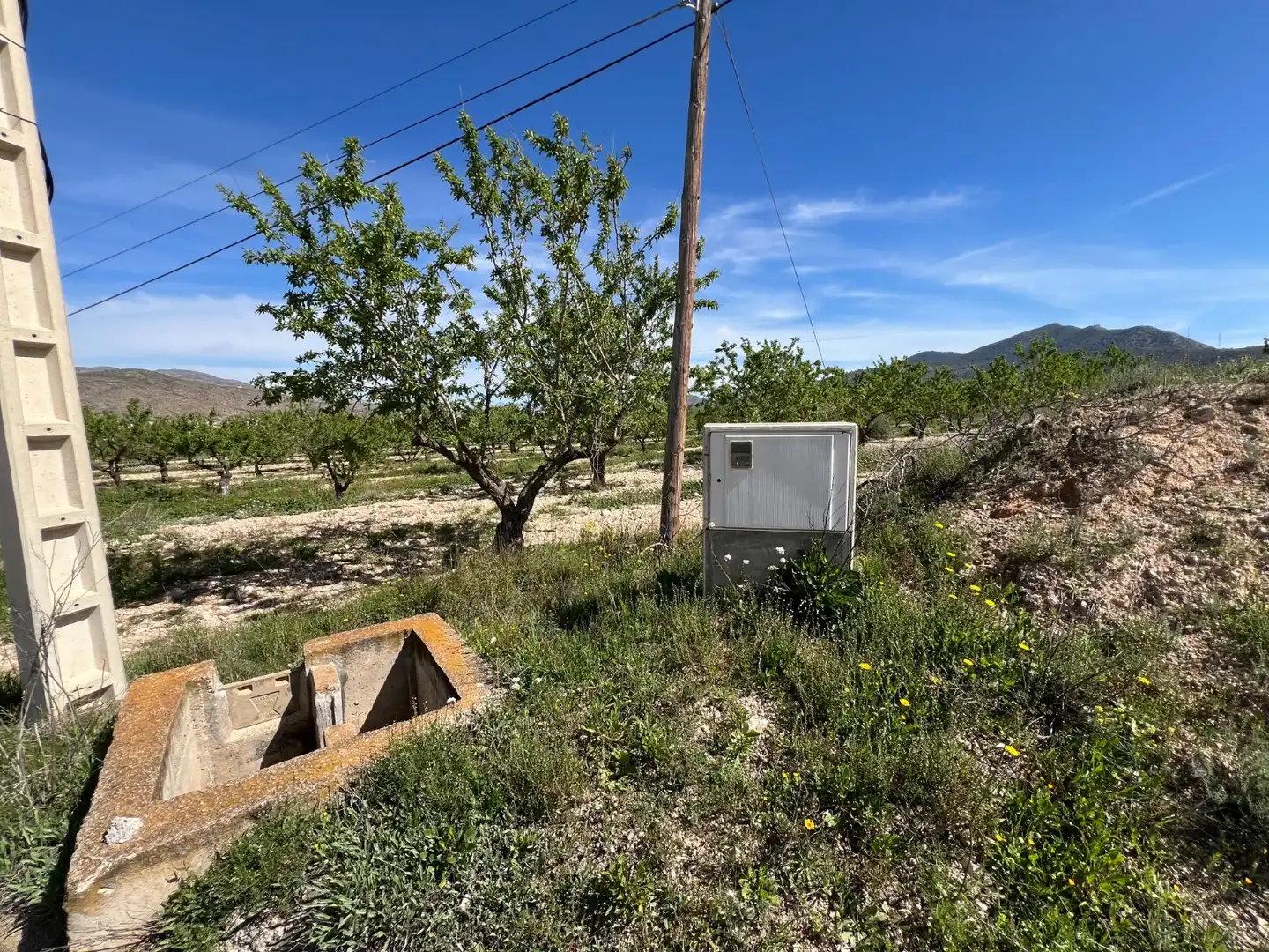 Terreno rustico in vendita a Hondón de los Frailes, imagen 14