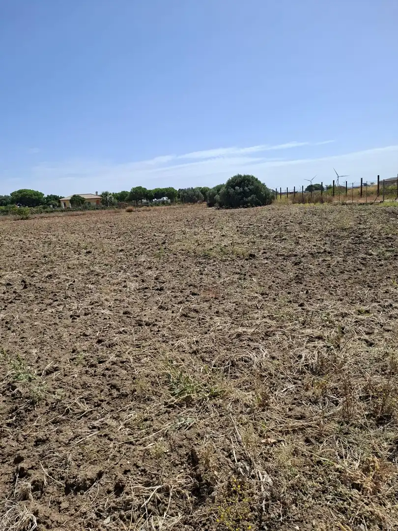 Terrenys i solars en venda a Los Franceses – La Vega, imagen 7