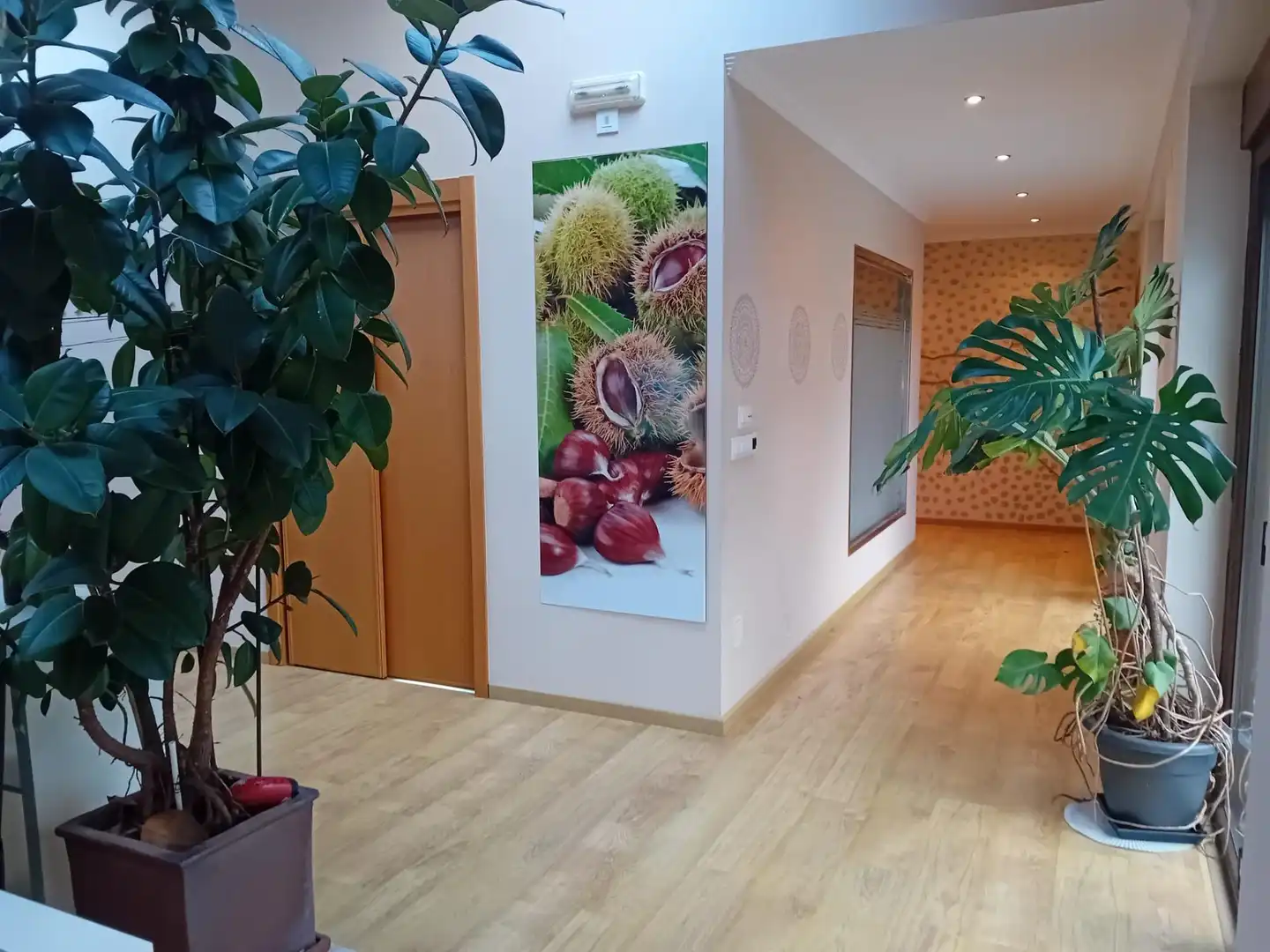Casa o chalet en venta en Carballo con Aire acondicionado, Calefacción y Jardín privado