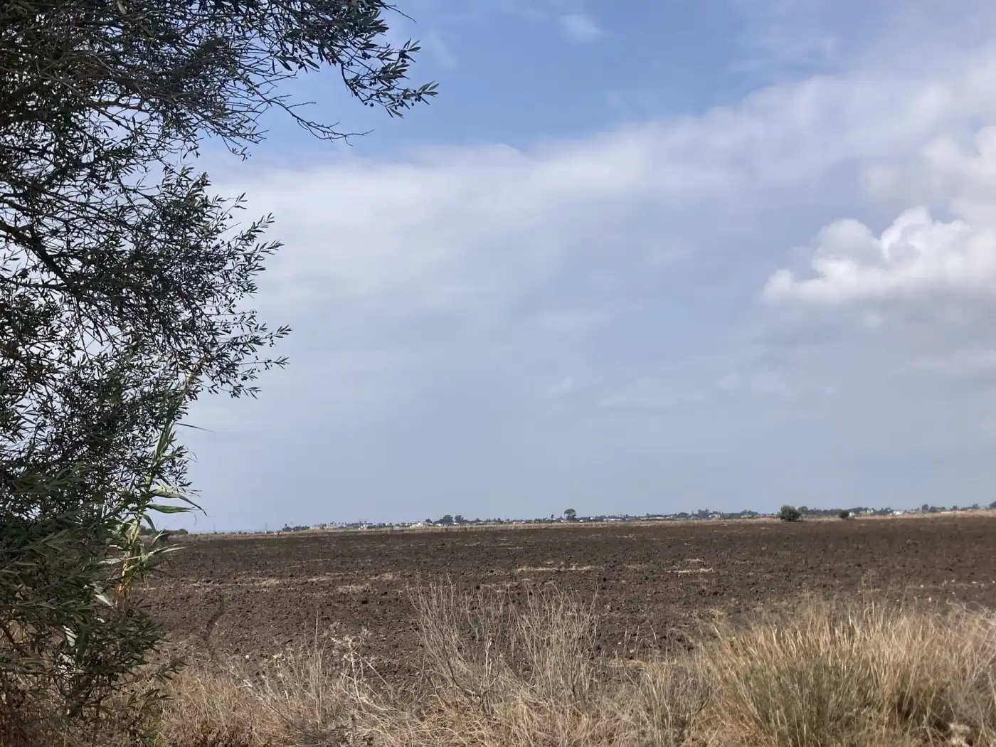 Terreni e lotti in vendita a El Palmar, imagen 7