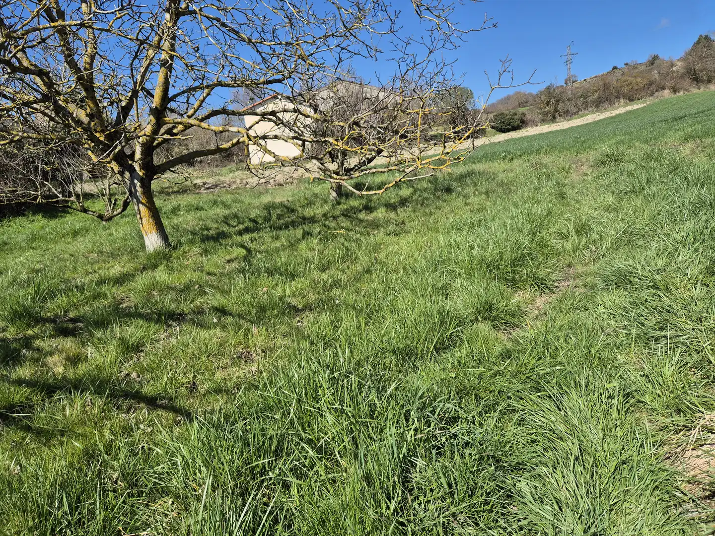 Residential land for sale in Calle San Juan 34, imagen 17