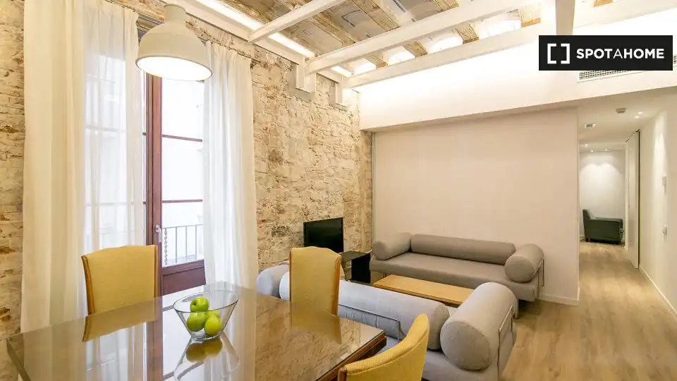 Appartamento con terrazza in affitto a Ciutat Vella, imagen 18