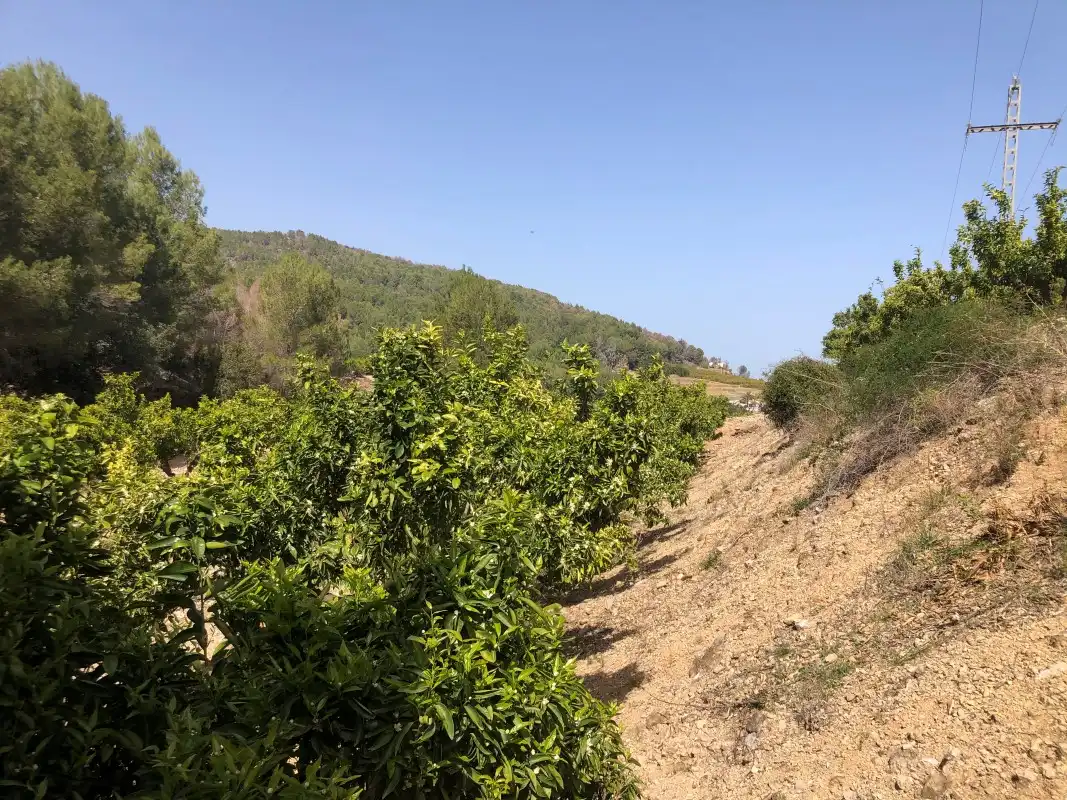 Terrain rustique à vendre à Plaça Poligono 11 15, imagen 27