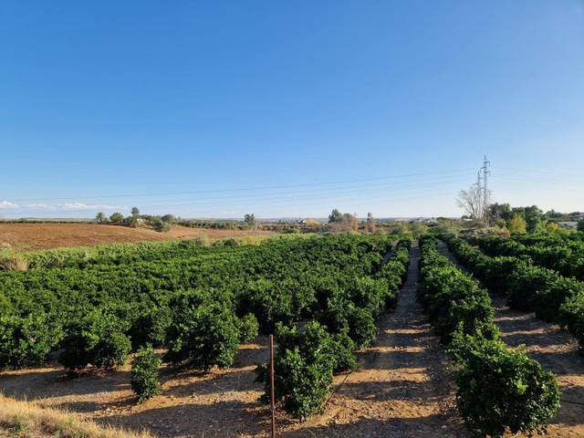 Piso en Venta en Lora del Río