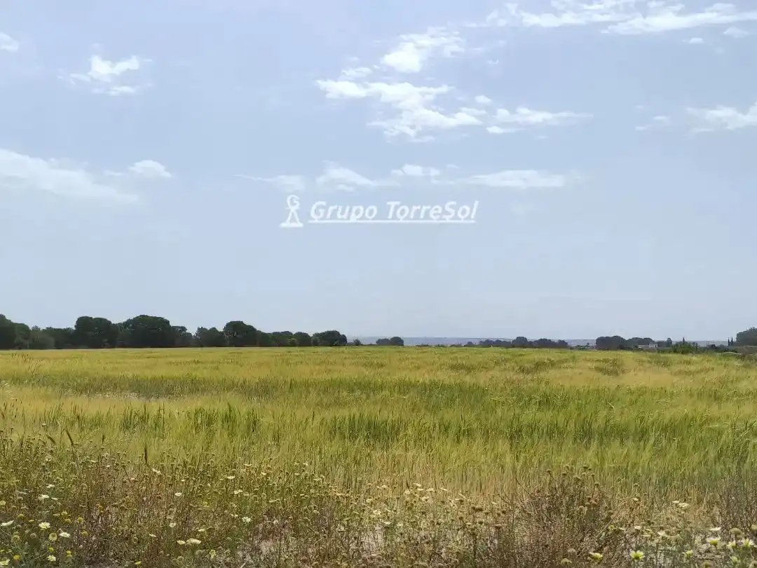 Terreno en venta en Elche / Elx