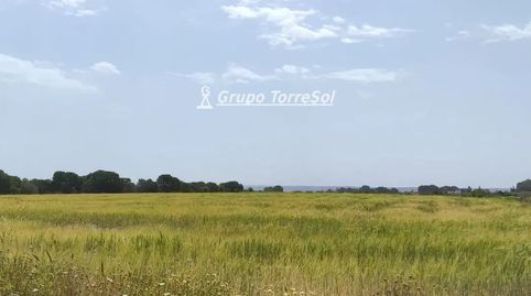 Foto 5 de Terreno en venta en Valverde, Centro, Elche / Elx