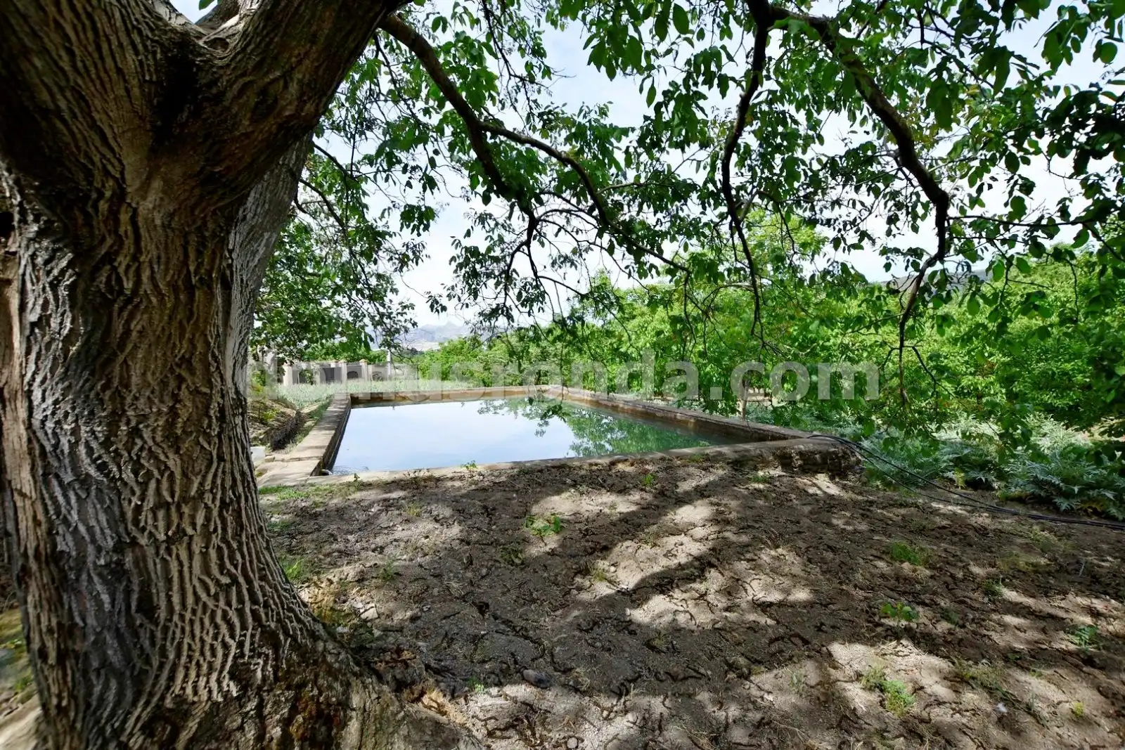 Swimming pool of Country homes for sale in Ronda  with Terrace, Storage room and Swimming Pool