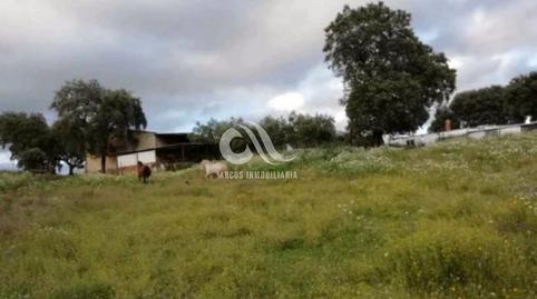 Foto 5 de Casa o xalet en venda a Cerro Muriano,  Córdoba Capital
