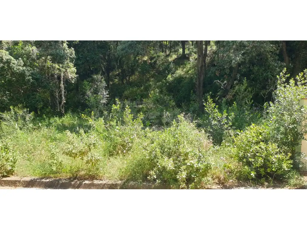 Terrain résidentiel à vendre à Platja de Pals, imagen 6