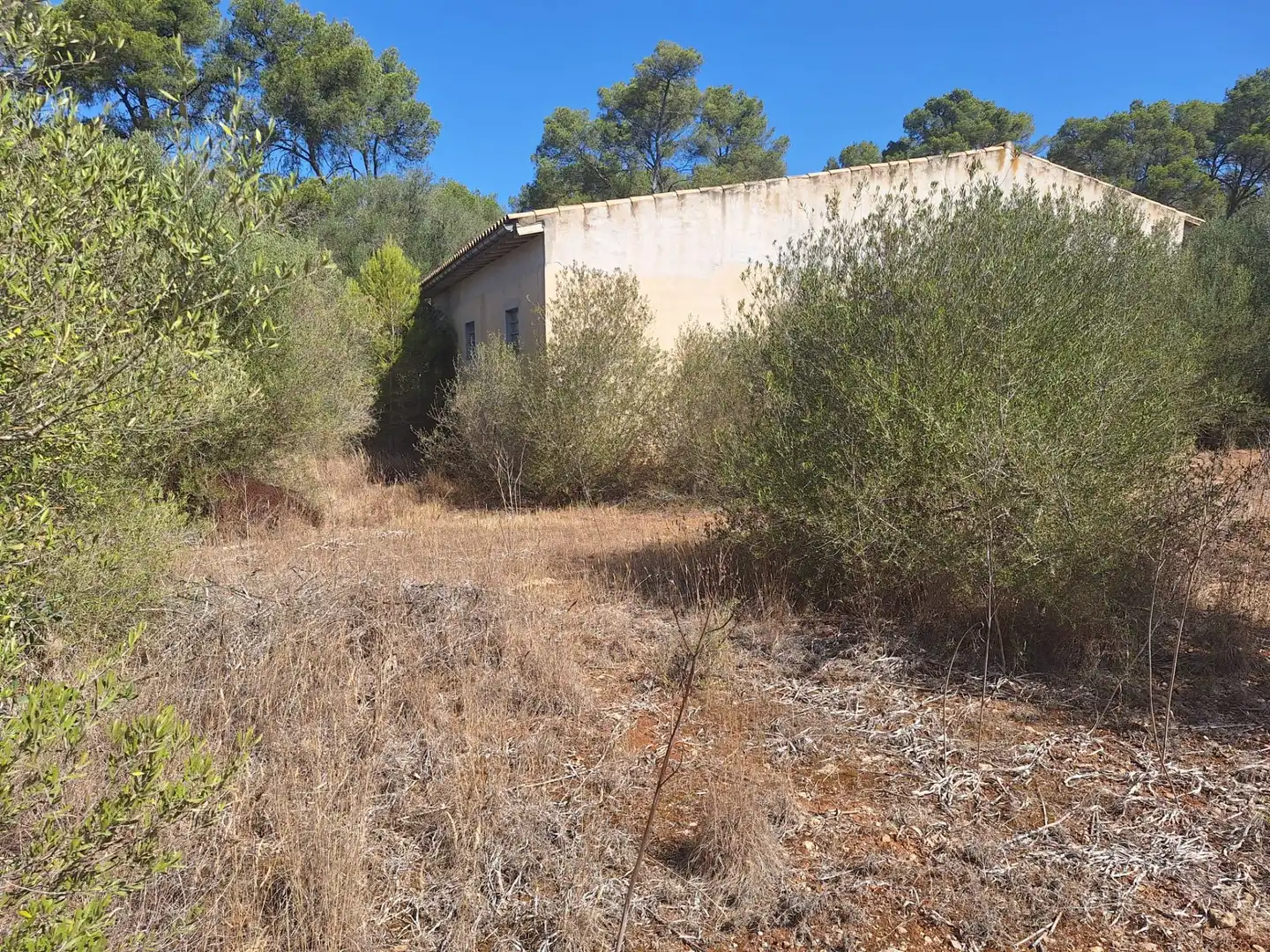 Terreno rustico in vendita a Algaida, imagen 14