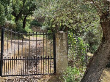 Terreny rústic en venda a Polígono polígono