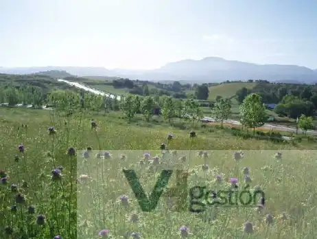 Terreni e lotti in vendita a Centro, imagen 5
