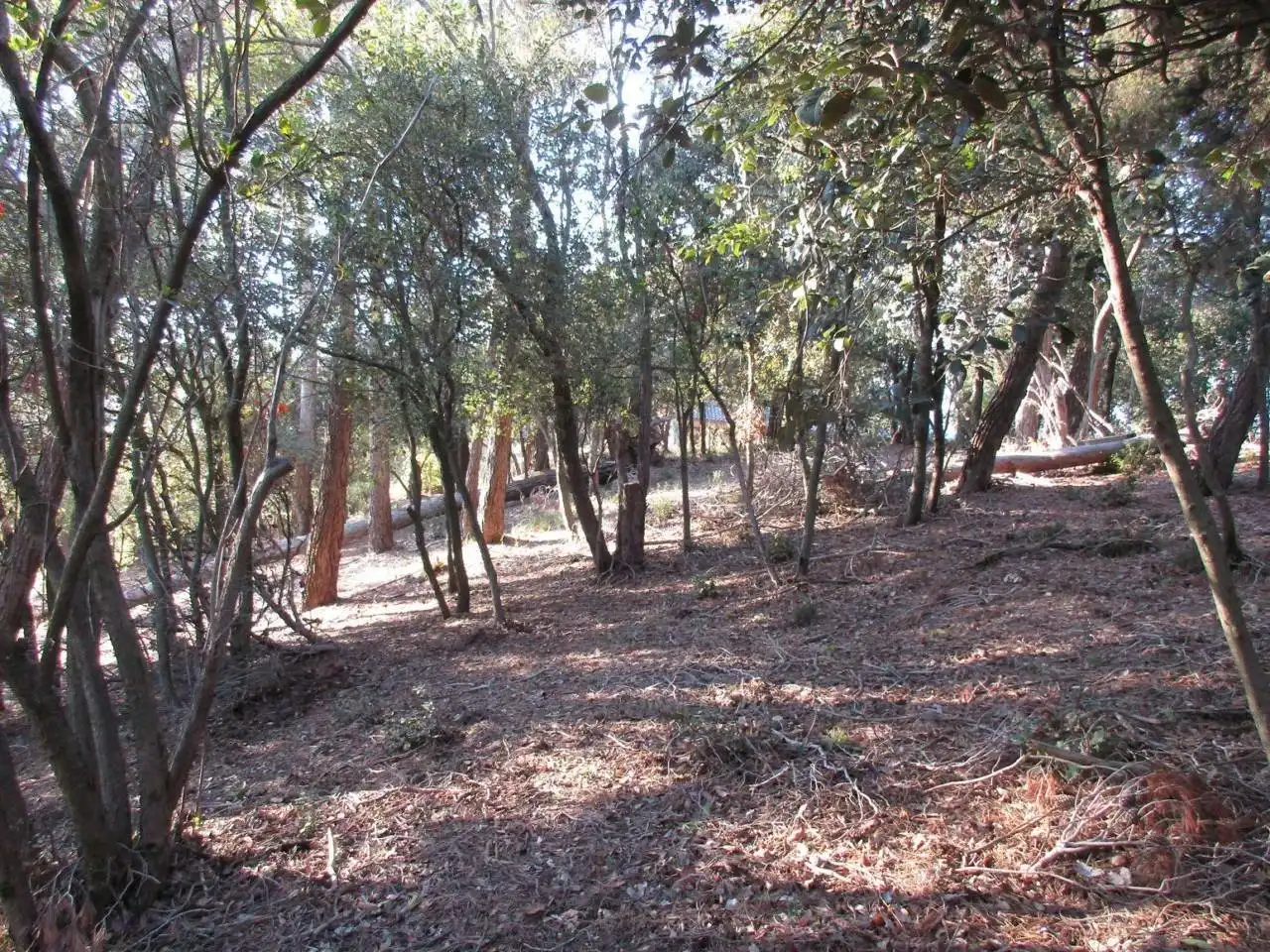 Wohnbaugrundstück zum Verkauf in El Racó - Sant Feliu del Racó, imagen 9