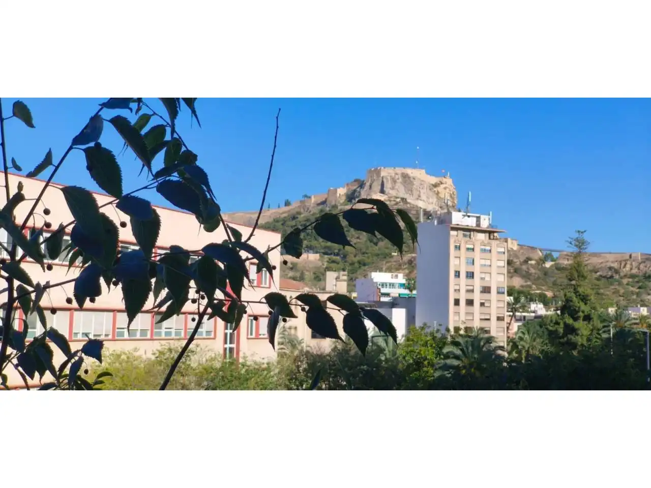 Vista exterior de Piso en venta en Alicante / Alacant con Calefacción y Balcón