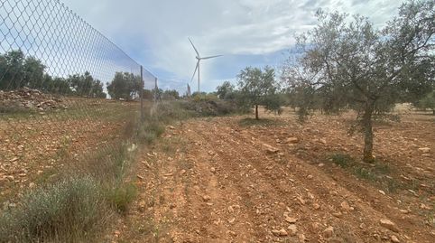 Finca de olivos cerca de Padul, immagine 4