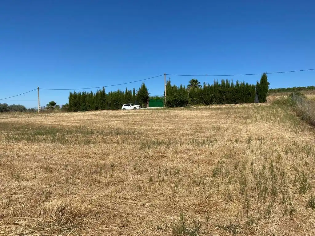 Terreno rustico in vendita a Alcolea del Río, imagen 4