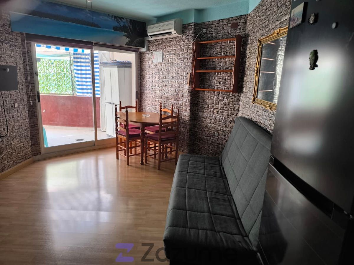 Sala d'estar de Estudi de lloguer en Torrevieja amb Aire condicionat, Calefacció i Jardí privat
