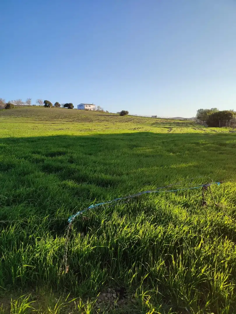 Terreno residencial en venta en Arcos de la Frontera, imagen 2