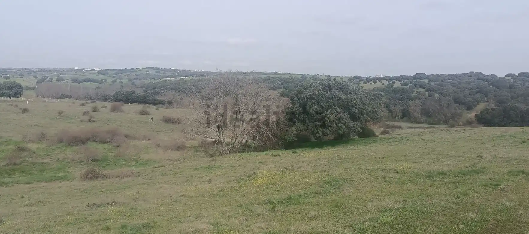 Land for sale in Guijo de Ávila