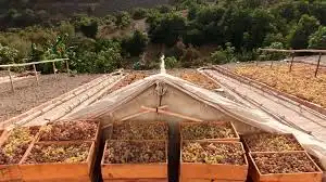 Terreno en venta en El Borge