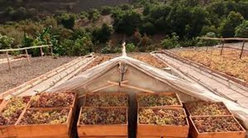Foto 5 de Terreno en venta en El Borge, Málaga