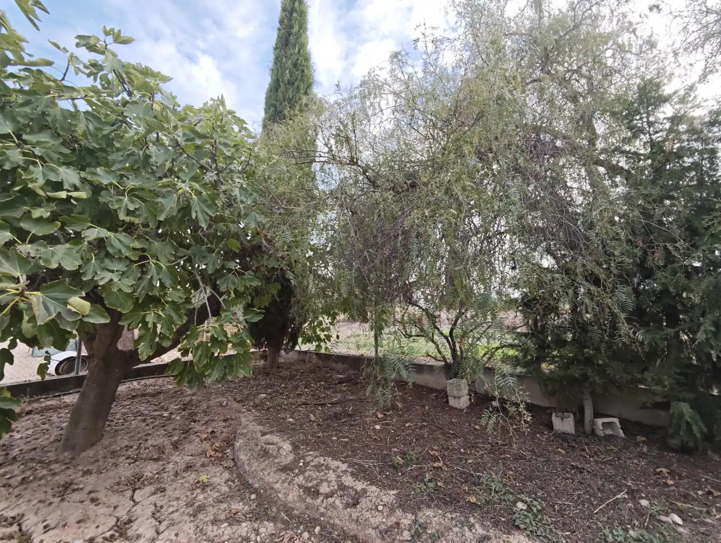 Terreno residencial en venta en Totana, imagen 11