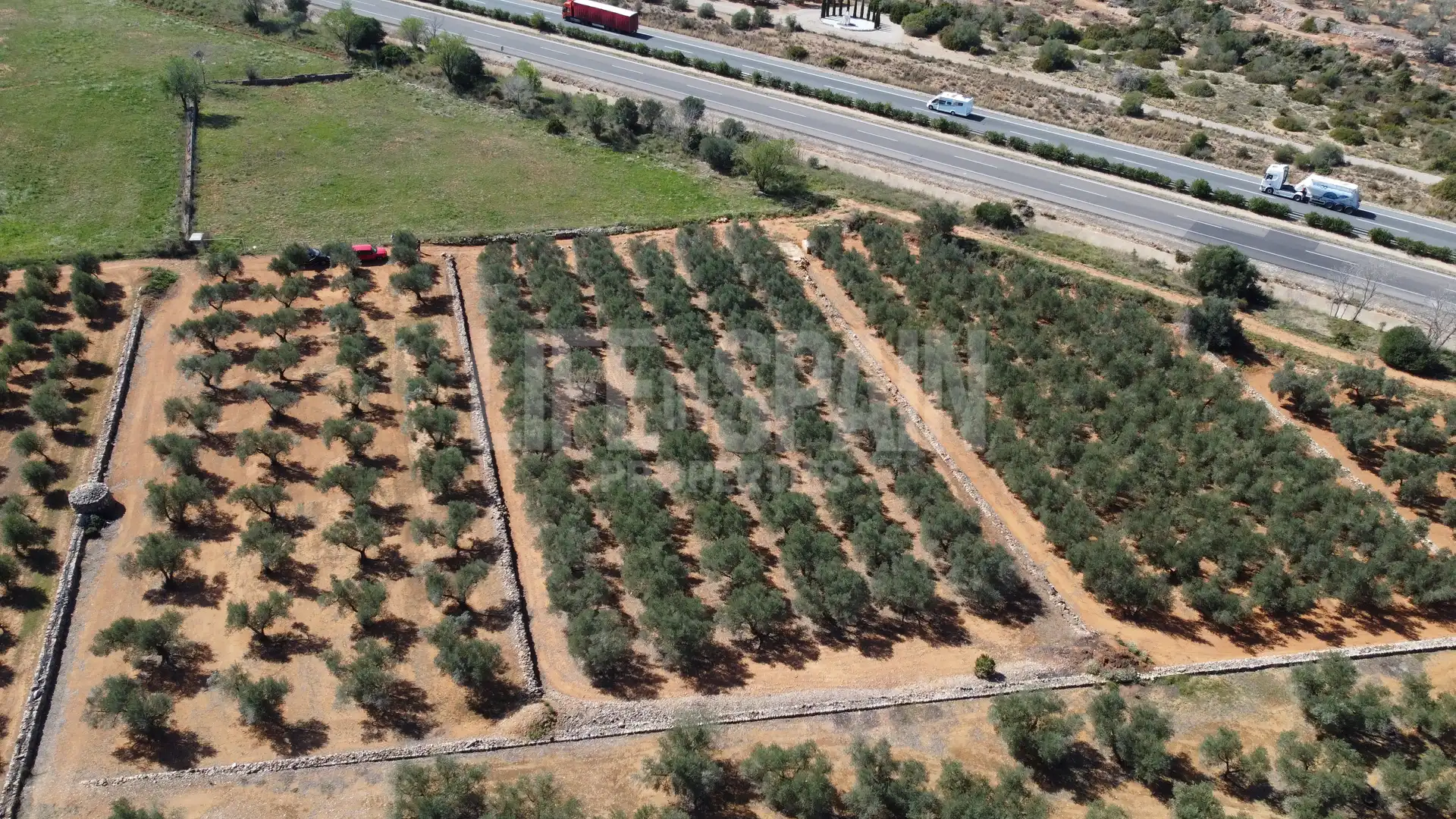 Terreno rustico in vendita a Freginals, imagen 10