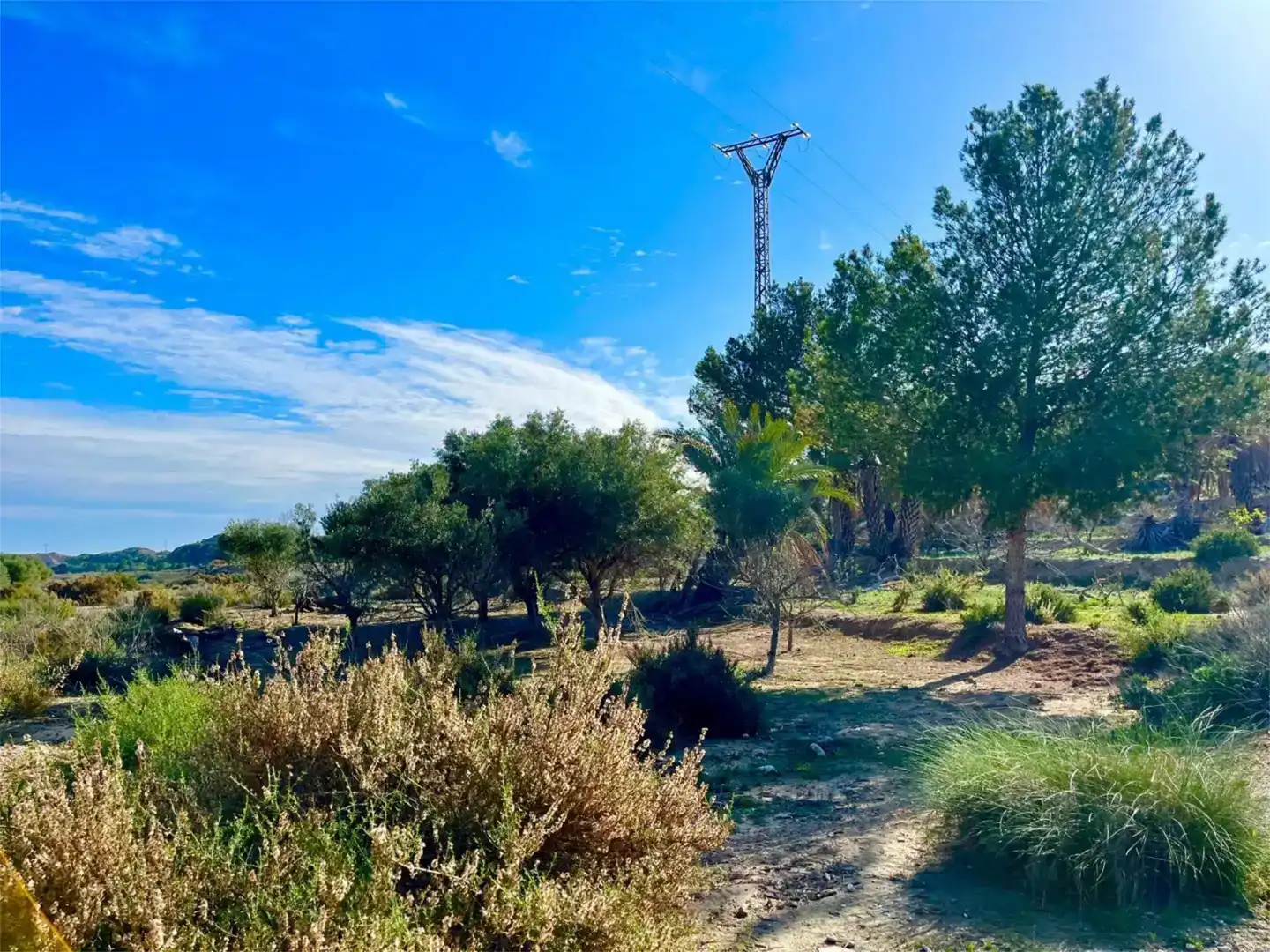 Finca rústica en venda en Partidas de Alicante