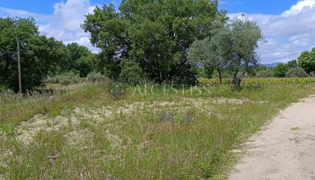 Land for sale in Méntrida