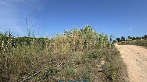 Foto 3 de Terreno en venta en Calle la Julia, 16, Tordera pueblo, Tordera