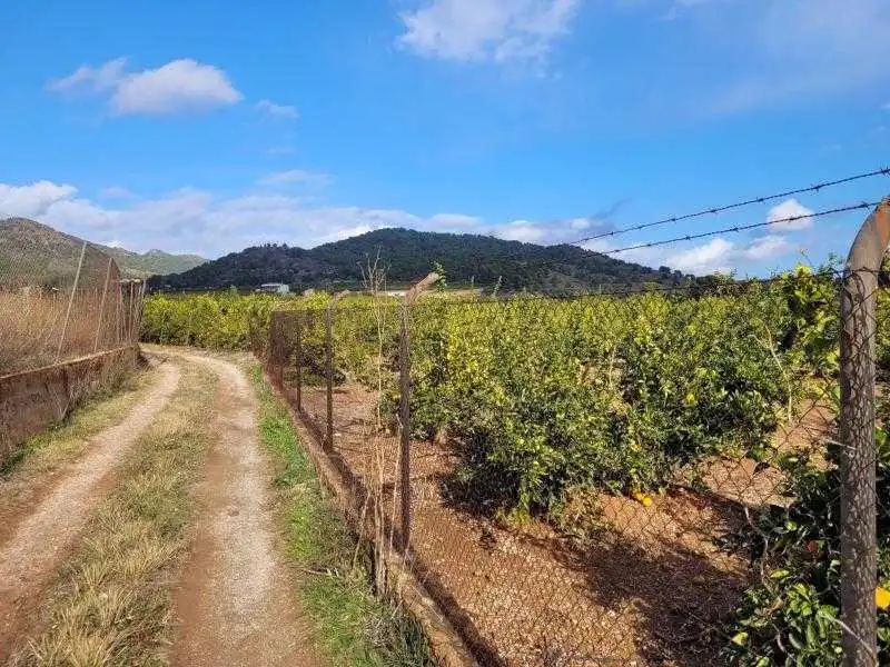 Terreno en venta en Náquera