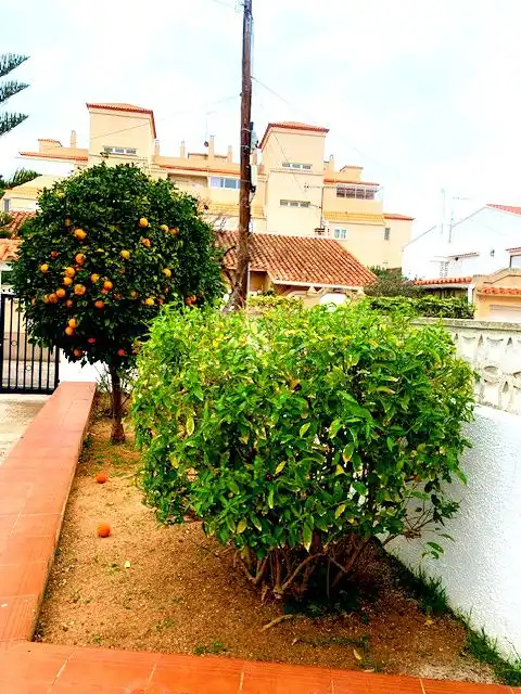 Vista exterior de Casa o chalet en venta en Dénia con Aire acondicionado, Calefacción y Jardín privado