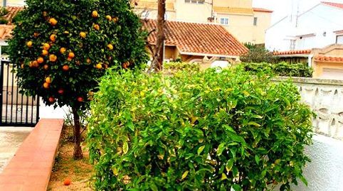 Foto 5 de Casa o chalet en venta en El Palmar - Los Molinos, Dénia