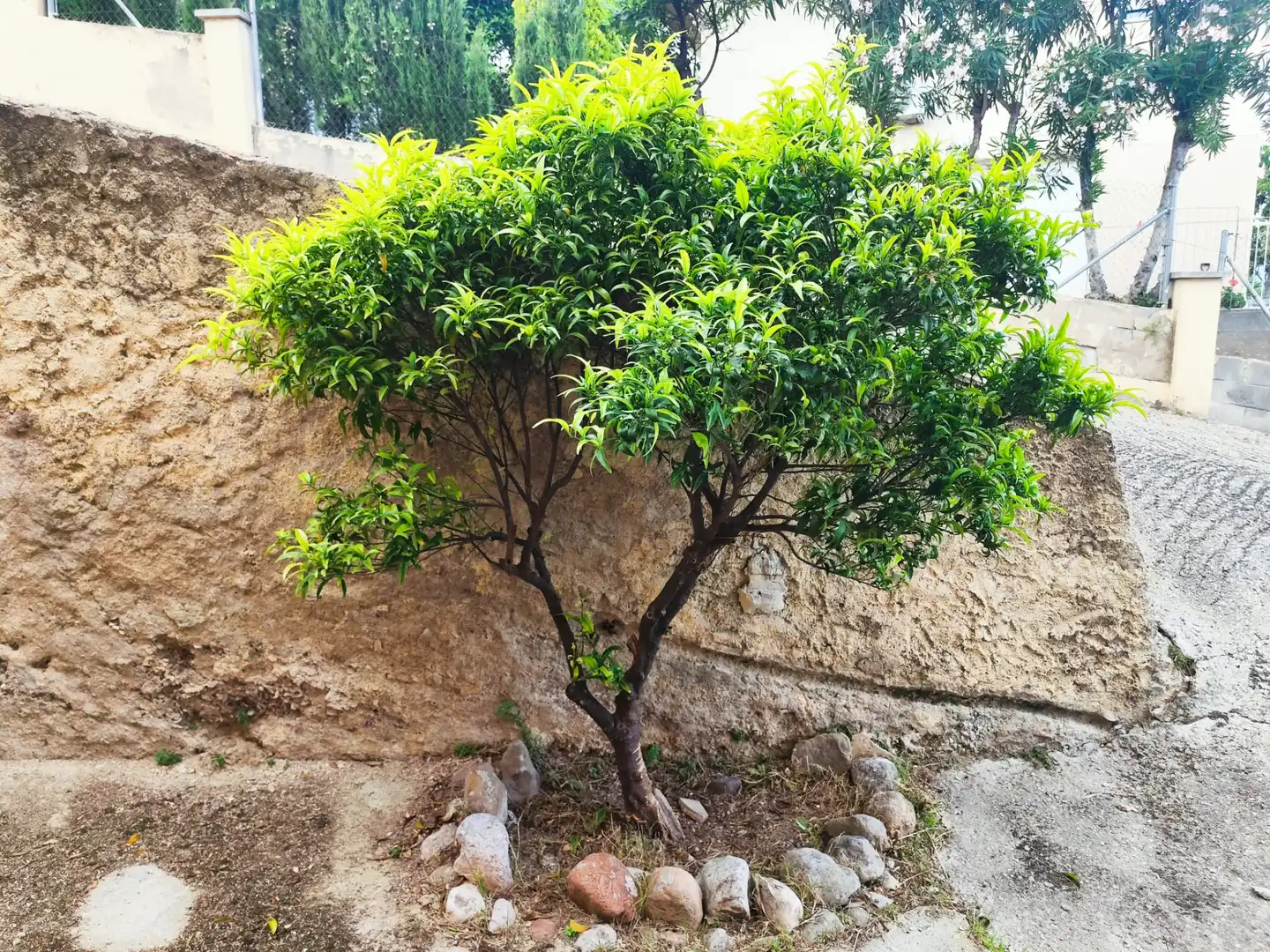 Jardí de Casa o xalet en venda en Lliçà de Vall amb Aire condicionat, Calefacció i Jardí privat