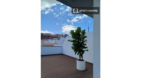 Foto 3 de Habitación en Arenales - Lugo - Avda. Marítima, Las Palmas de Gran Canaria