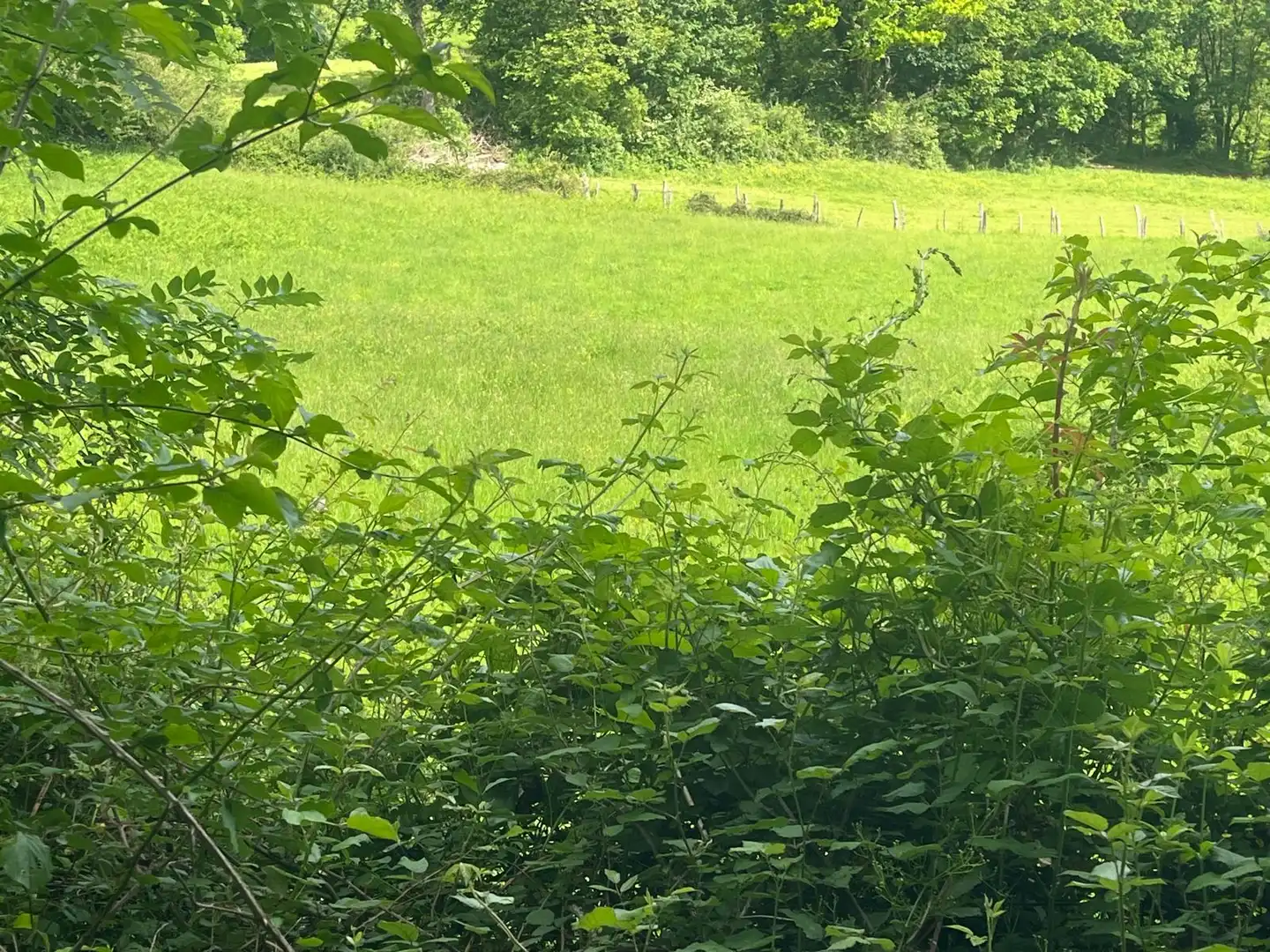 Land for sale in Beintza-Labaien