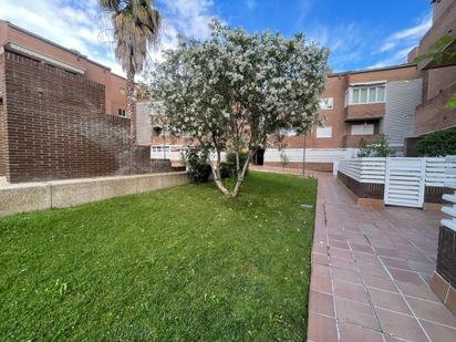 Jardí de Casa o xalet en venda en Alcorcón amb Aire condicionat i Piscina