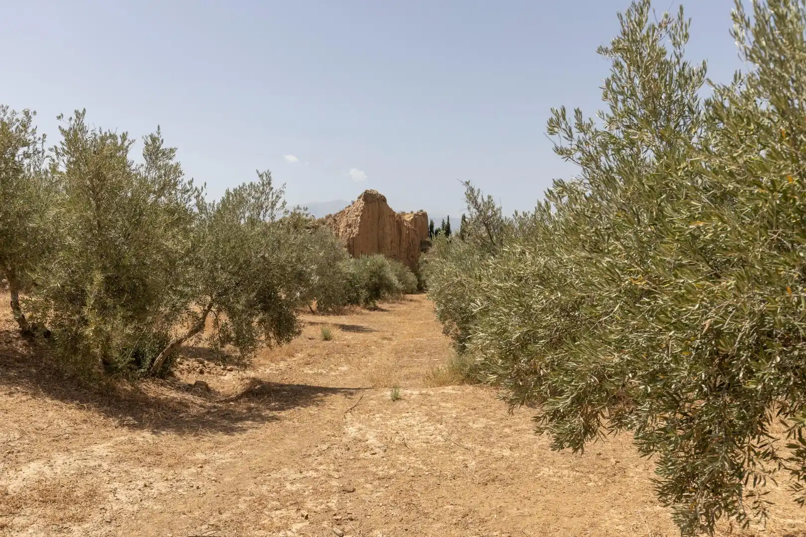Terreni e lotti in vendita a Guadix, imagen 7
