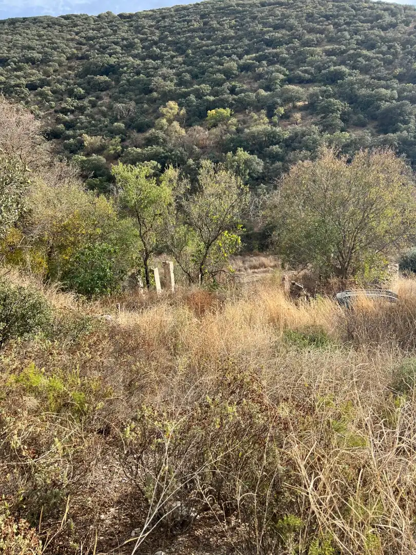 Terreny rústic en venda a Almedinilla, imagen 6