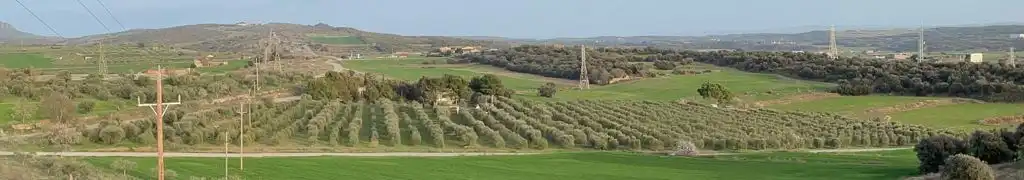 Rural land for sale in Balaguer