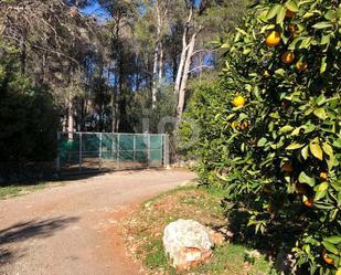 Premises for sale in Parcent