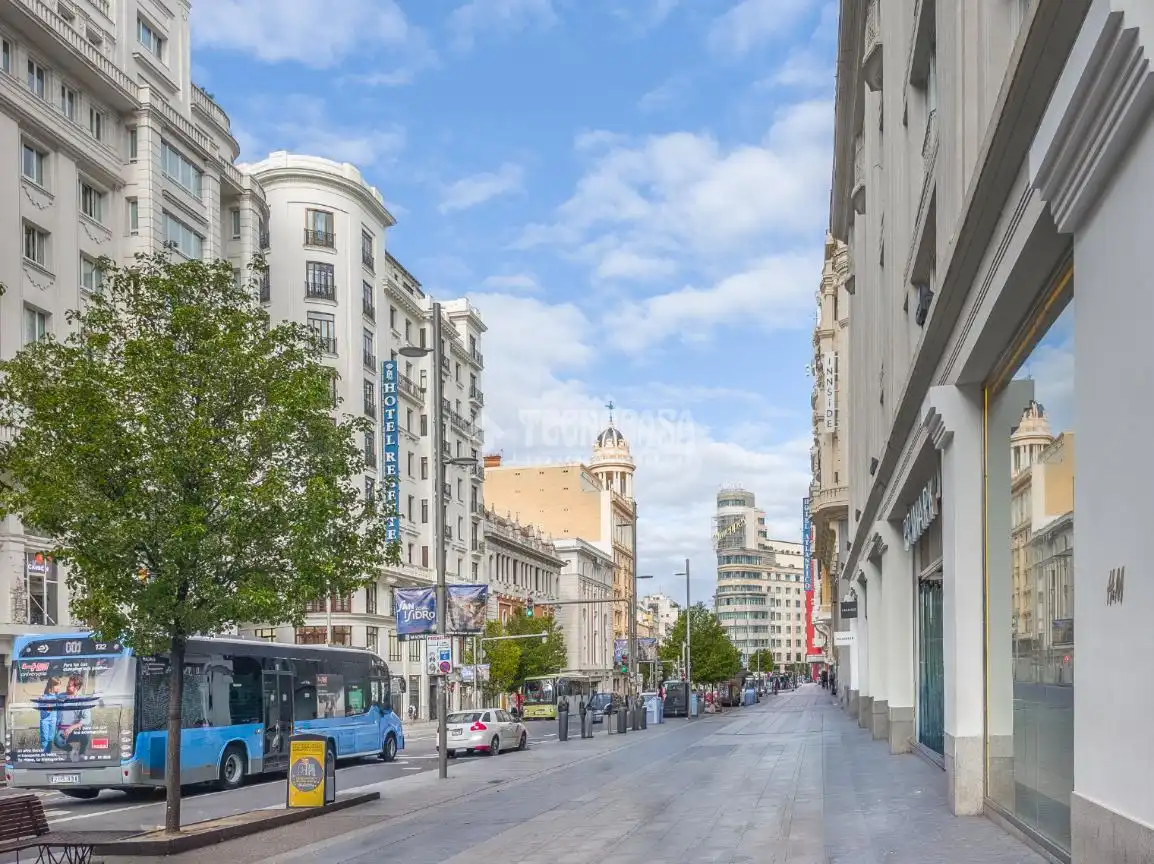 Individual for sale in Centro, imagen 13