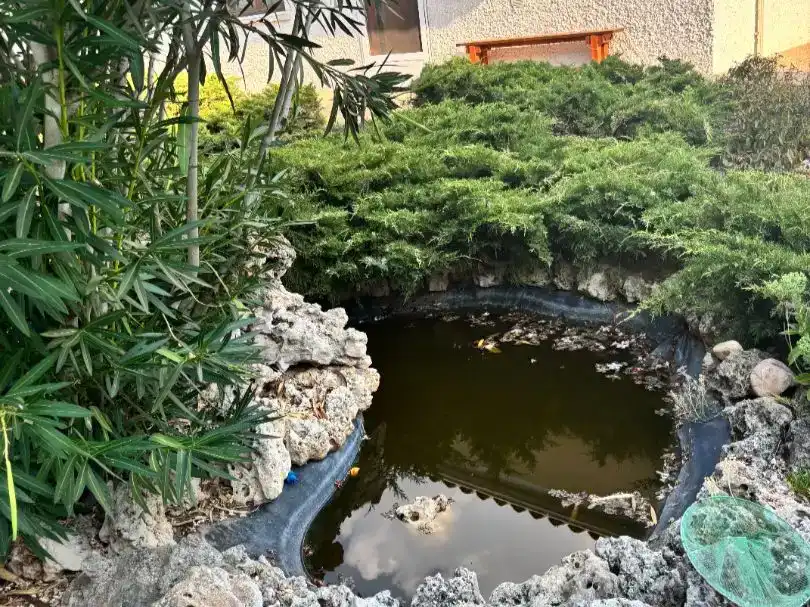Jardín de Casa o chalet en venta en Mojados con Piscina