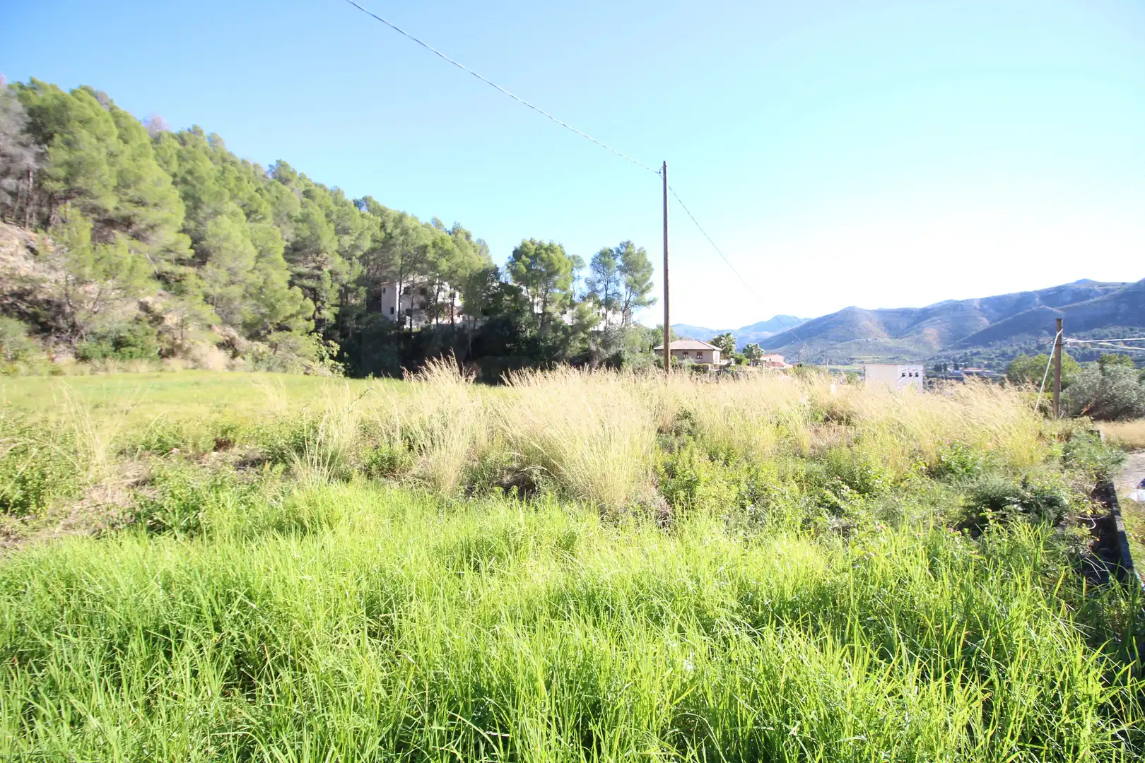 Rural land for sale in L'Atzúbia, imagen 8