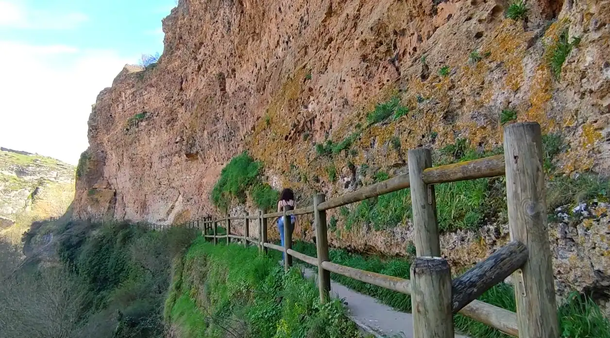 Vista exterior de Casa o chalet en venta en Sepúlveda con Calefacción y Jardín privado