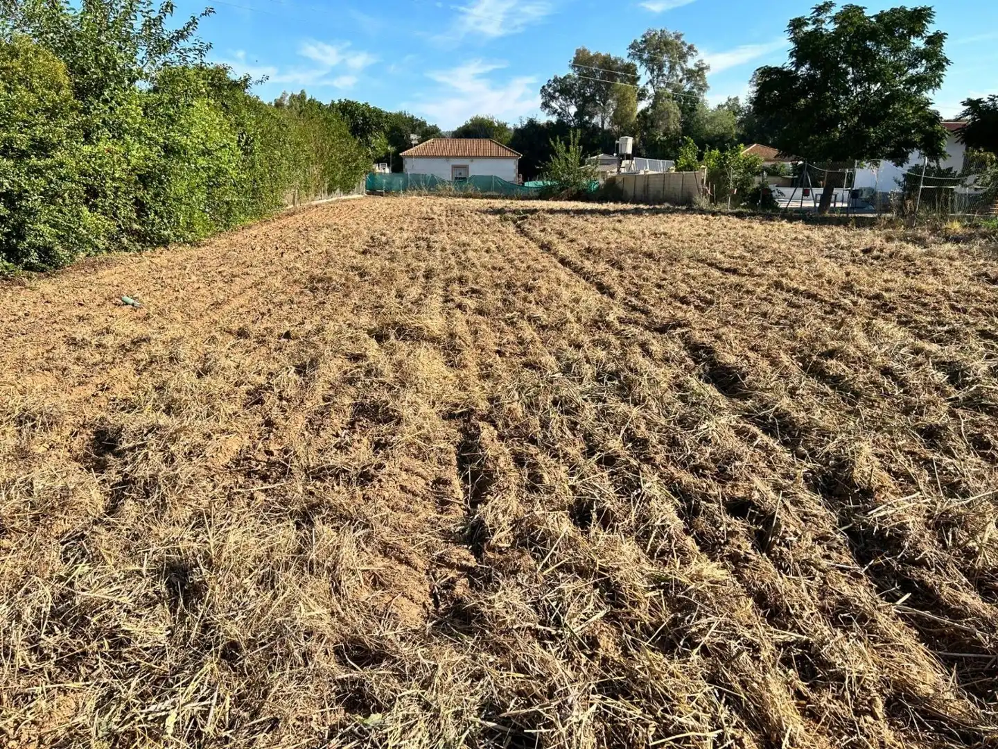 Terreny rústic en venda a Almodóvar del Río, imagen 3