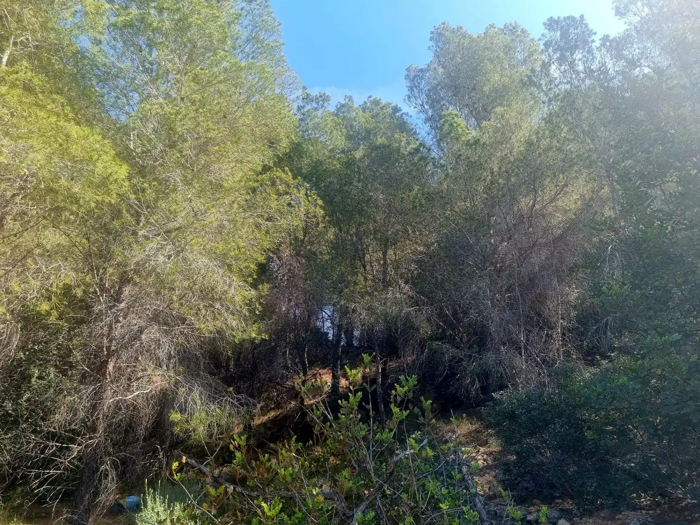 Residencial en venda en Altea