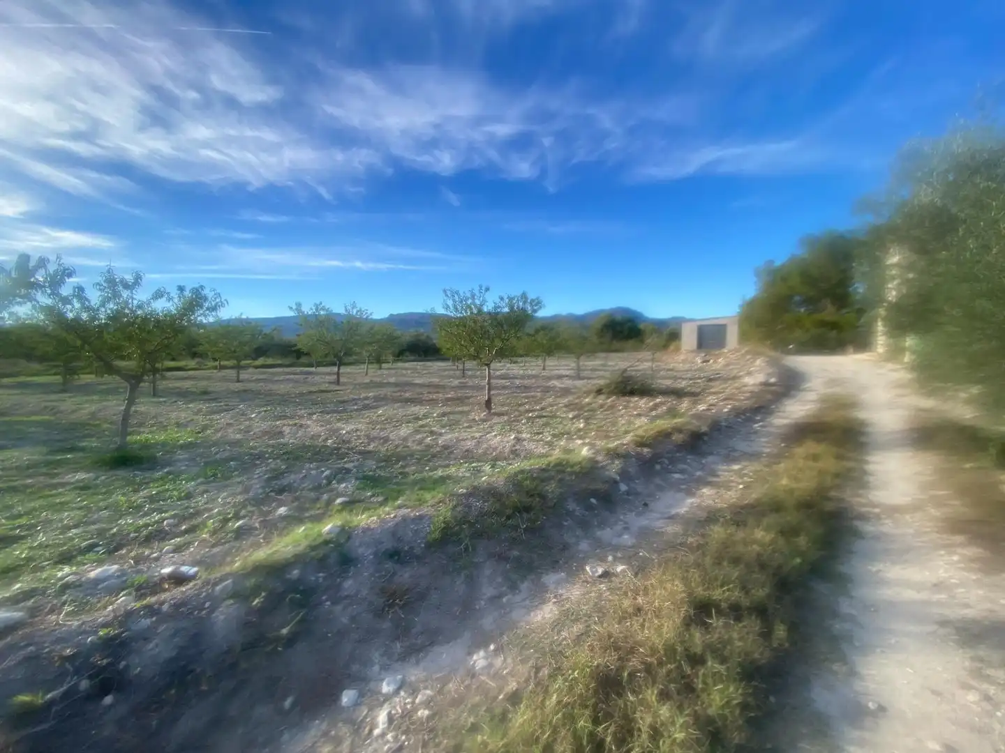 Terreny rústic en venda a Moratalla, imagen 3