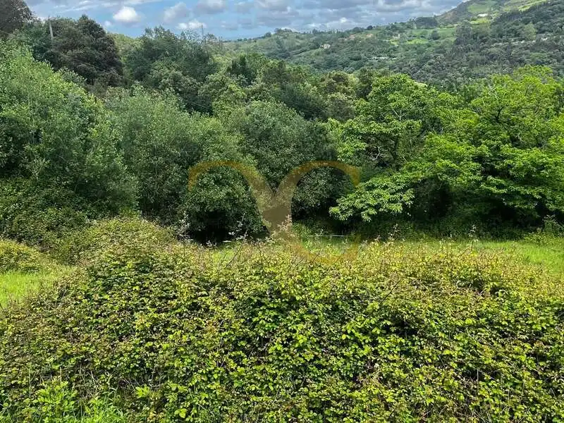 Terreny rústic en venda a Andinas, imagen 10